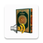 sindhi quran audio android application logo